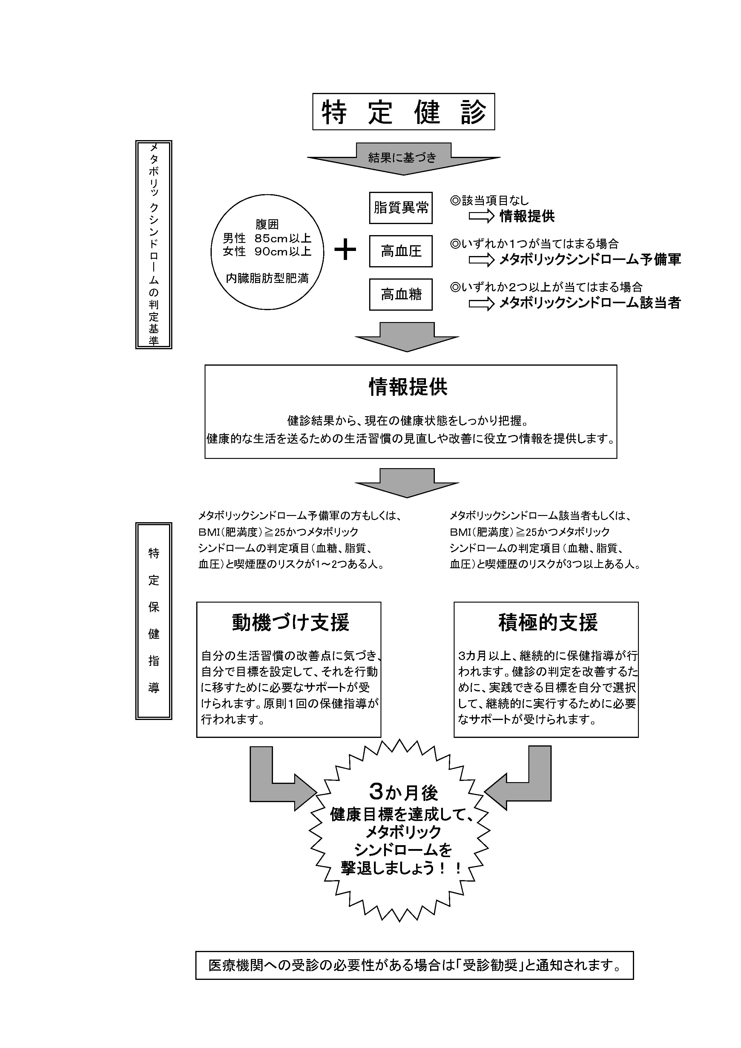 特定健康診査の流れ
